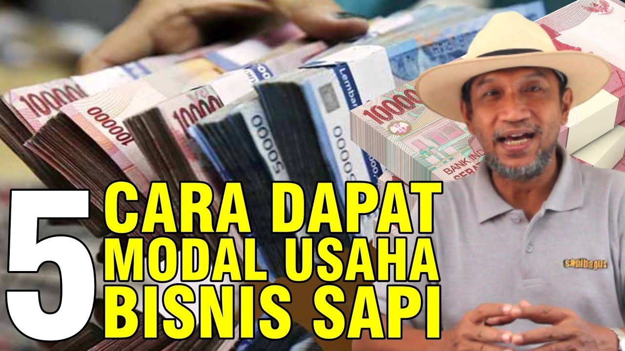 Cara Dapat Modal Usaha Bisnis Sapi.jpg